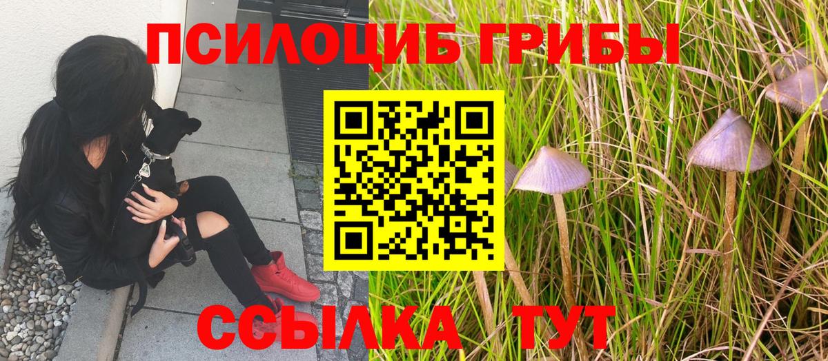 Великие Луки  Псилоцибиновые грибы ЛСД  Вход с VPN 